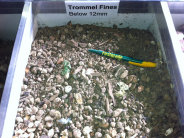 firstgrade12013006.jpg